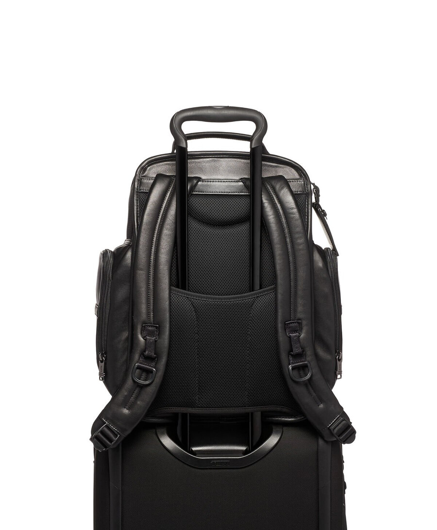 alpha 3 brief pack
